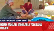 İncirin Muğlalı Kadınlarla Yolculuğu Projesi: Hasat dönemi sona erdi