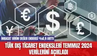 TÜİK Dış Ticaret Endeksleri Temmuz 2024 Verilerini Açıkladı