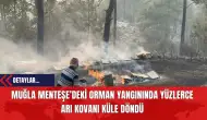 Muğla Menteşe’deki Orman Yangınında Yüzlerce Arı Kovanı Küle Döndü