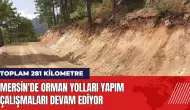 Mersin'de orman yolları yapım çalışmaları devam ediyor