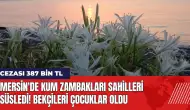 Mersin'de kum zambakları sahilleri süsledi! Koparma cezası 387 bin TL