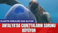 Antalya'da carettaların sorunu büyüyor: Plastik kirliliği can alıyor