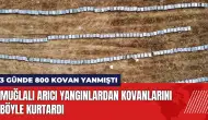 Muğlalı arıcı orman yangınlardan kovanlarını böyle kurtardı