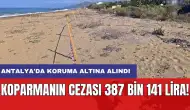 Koparmanın cezası 387 bin 141 lira! Antalya'da koruma altına alındı