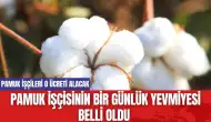 Pamuk İşçilerinin Bir Günlük Yevmiyesi Belli Oldu!