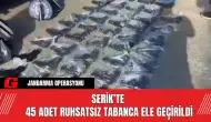 Serik’te 45 Adet Ruhsatsız Tabanca Ele Geçirildi