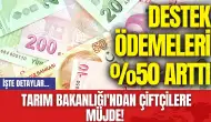 Tarım Bakanlığı'ndan Çiftçilere Müjde! Destek Ödemeleri %50 Arttı