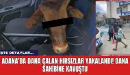 Adana'da dana çalan hırsızlar yakalandı! Dana sahibine kavuştu