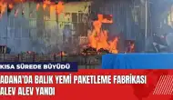 Adana'da balık yemi paketleme fabrikası alev alev yandı