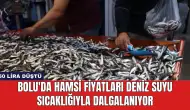 Bolu'da Hamsi Fiyatları Deniz Suyu Sıcaklığıyla Dalgalanıyor