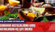 Sonbahar hastalıklarına karşı aktarlardan kış çayı önerisi