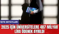 2025 için üniversitelere 487 milyar lira ödenek ayrıldı