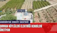 Mersin'de ORKÖY desteği! Orman köylüleri elektriği kendileri üretiyor