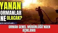 Yanan ormanlar ne olacak? Bakanlıktan açıklama