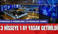 Parasını o hisselere yatıranlar yandı: 3 hisseye 1 ay yasak getirildi