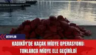 Kadıköy'de Kaçak Midye Operasyonu: Tonlarca Midye Ele Geçirildi