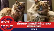 Dünyanın En Yaşlı Kedisi Rosie 33 Yaşında Hayatını Kaybetti