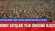 Konut satışları yılın zirvesine ulaştı