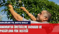 Anamur'da üreticilere avokado ve passiflora fide desteği