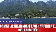 Orman alanlarındaki kaçak yapılara el koyulabilecek! Hukuki yolu açıldı