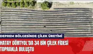 Hatay Dörtyol'da 34 bin çilek fidesi toprakla buluştu