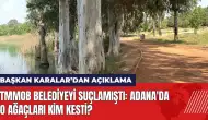 Adana'da o ağaçları kim kesti? TMMOB belediyeyi suçlamıştı