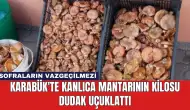 Karabük'te Kanlıca Mantarının Kilosu Dudak Uçuklattı