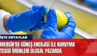 Mersin'de Güneş Enerjisi ile Kurutma Tesisi ürünleri ulusal pazarda