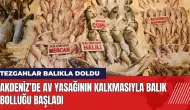 Akdeniz’de av yasağının kalkmasıyla balık bolluğu başladı