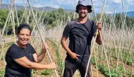 Fethiye'de baklagil desteği! Güz ekilişi tohumları kontrol edildi