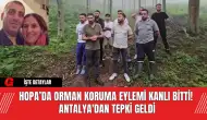 Hopa’da Orman Koruma Eylemi Kanlı Bitti! Antalya'dan Tepki Geldi