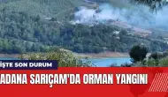 Adana Sarıçam'da orman yangını