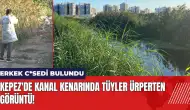 Kepez'de kanal kenarında tüyler ürperten görüntü!