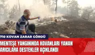 Menteşe yangınında kovanları yanan arıcılara destekler açıklandı