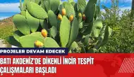 Batı Akdeniz'de dikenli incir tespit çalışmaları başladı