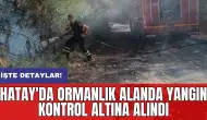 Hatay'da ormanlık alanda yangın kontrol altına alındı