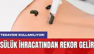 Tedavide kullanılıyor: Sülük ihracatından rekor gelir