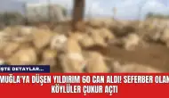 Muğla'ya düşen yıldırım 60 can aldı! Seferber olan köylüler çukur açtı