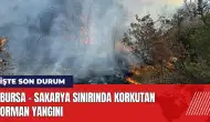 Bursa - Sakarya sınırında orman yangını