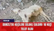 Denizli'de Keçilere Silahlı Saldırı: 10 Keçi Telef Oldu