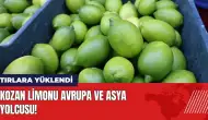 Kozan limonu Avrupa ve Asya yolcusu! Üreticinin yüzü gülüyor