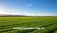 Karaman Merkez'de mahkemeden satılık 466 m² arsa