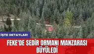 Feke'de sedir ormanı manzarası büyüledi