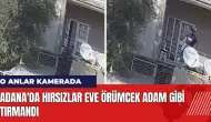 Adana'da hırsızlar eve Örümcek Adam gibi tırmandı!