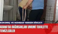 Adana'da kokoreç yerken dikkat! Bağırsakları umumi tuvalette temizledi