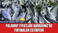 Palamut Fiyatları Karadeniz'de Fırtınalar Estiriyor