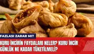 Kuru incirin faydaları neler? Kuru incir günlük ne kadar tüketilmeli?