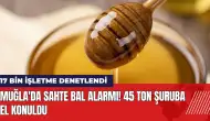 Muğla'da sahte bal alarmı! 45 ton şuruba el konuldu