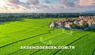 Düzce Merkez'de icradan satılık 1.966 m² arsa