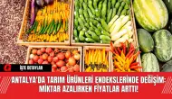 Antalya'da Tarım Ürünleri Endekslerinde Değişim: Miktar Azalırken Fiyatlar Arttı!